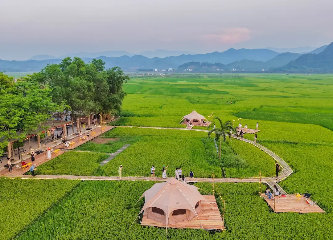 toàn cảnh jungle boss homestay phong nha