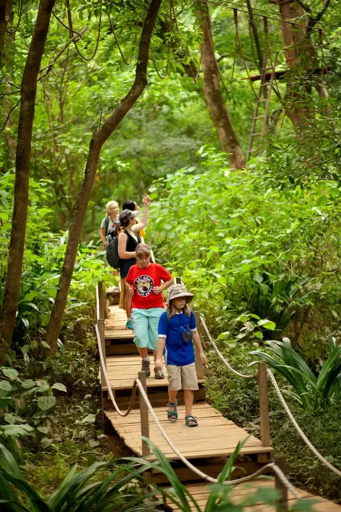 Đi bộ khám phá rừng nguyên sinh ở ozo park quảng bình