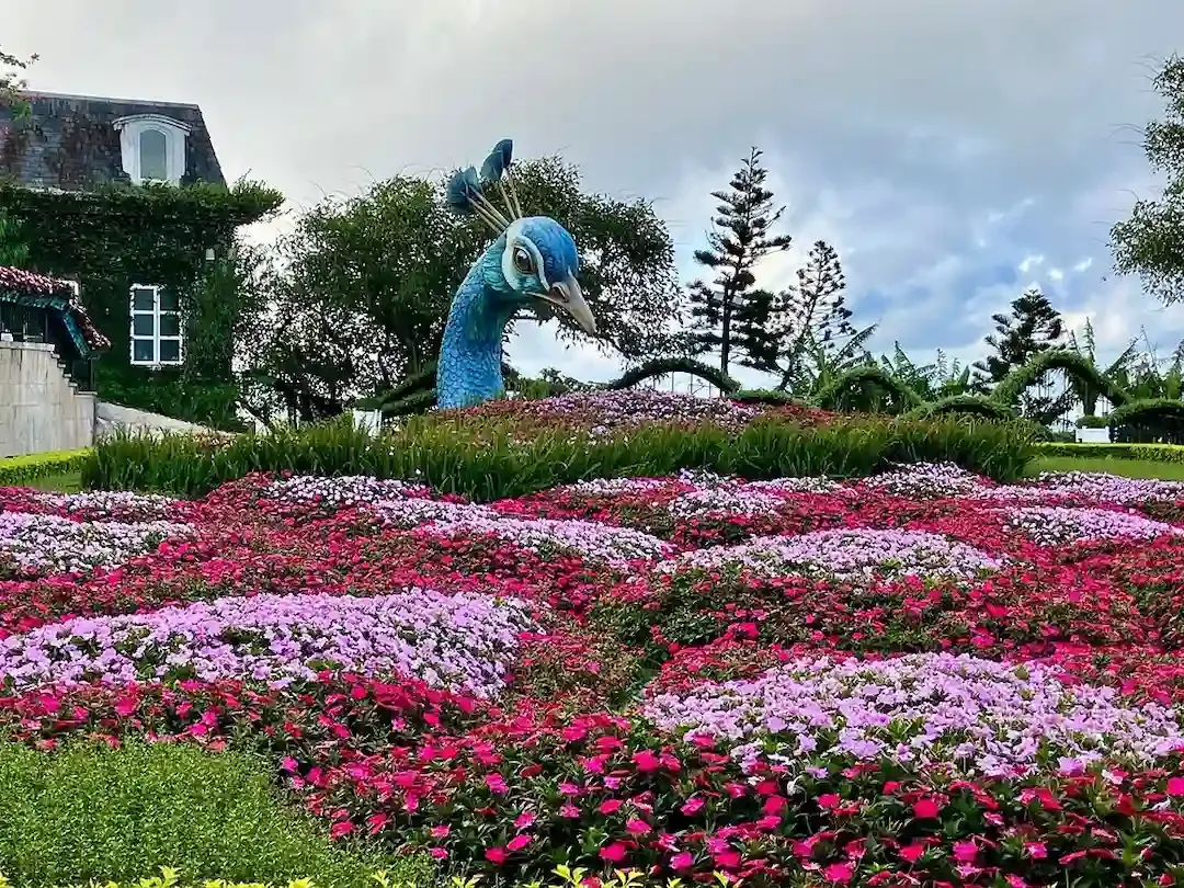 Flower Garden of Ba Na Hills