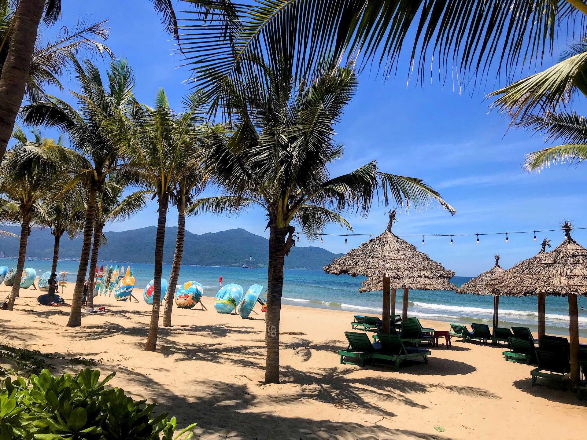 Palm trees and thatched umbrellas beside My Khe Beach in Da Nang