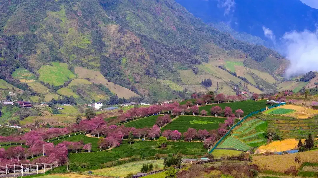 Sapa Valley in the Winter Months