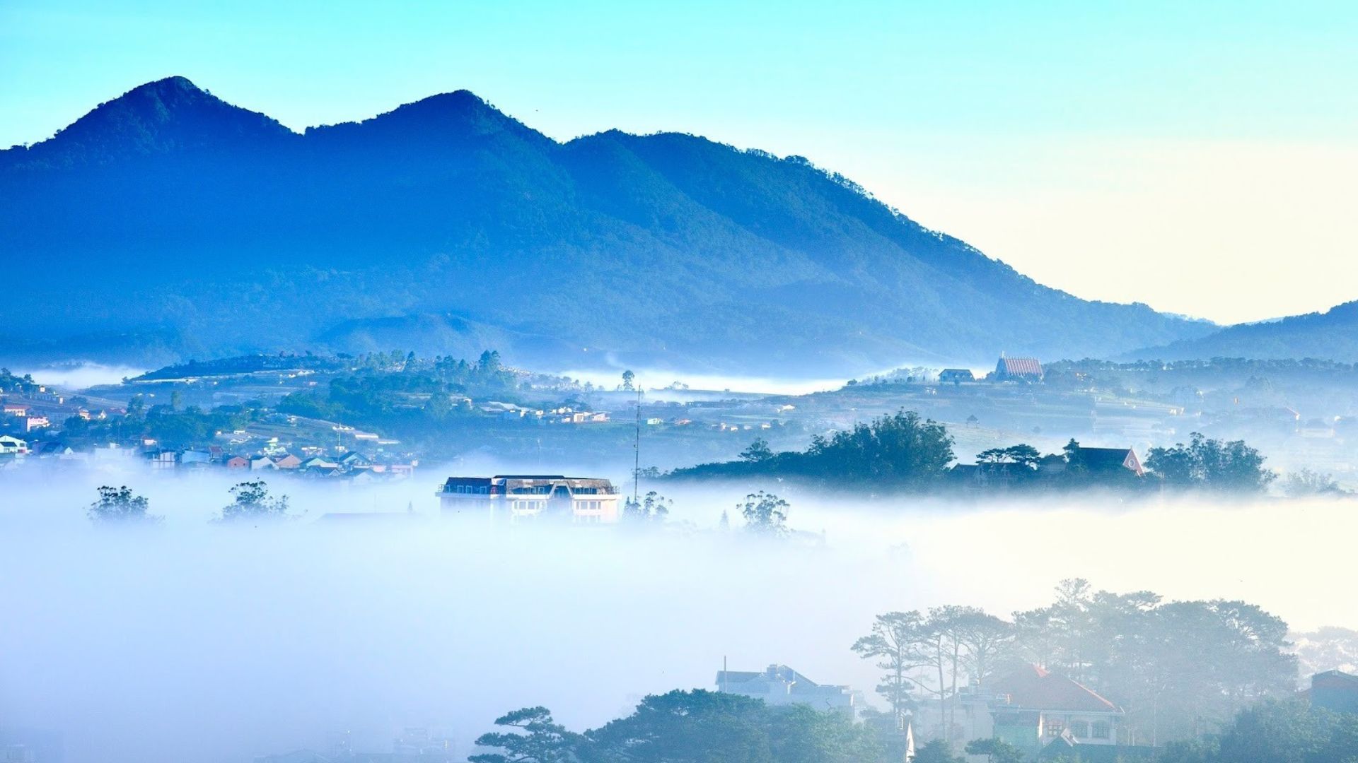 Toàn cảnh Đà Lạt nhìn từ đỉnh tour trekking Langbiang