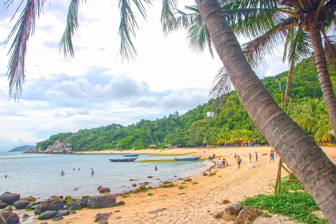 Leaning palm tree on a crowded golden sand beach at Cù Lao Chàm with blue boats in the bay