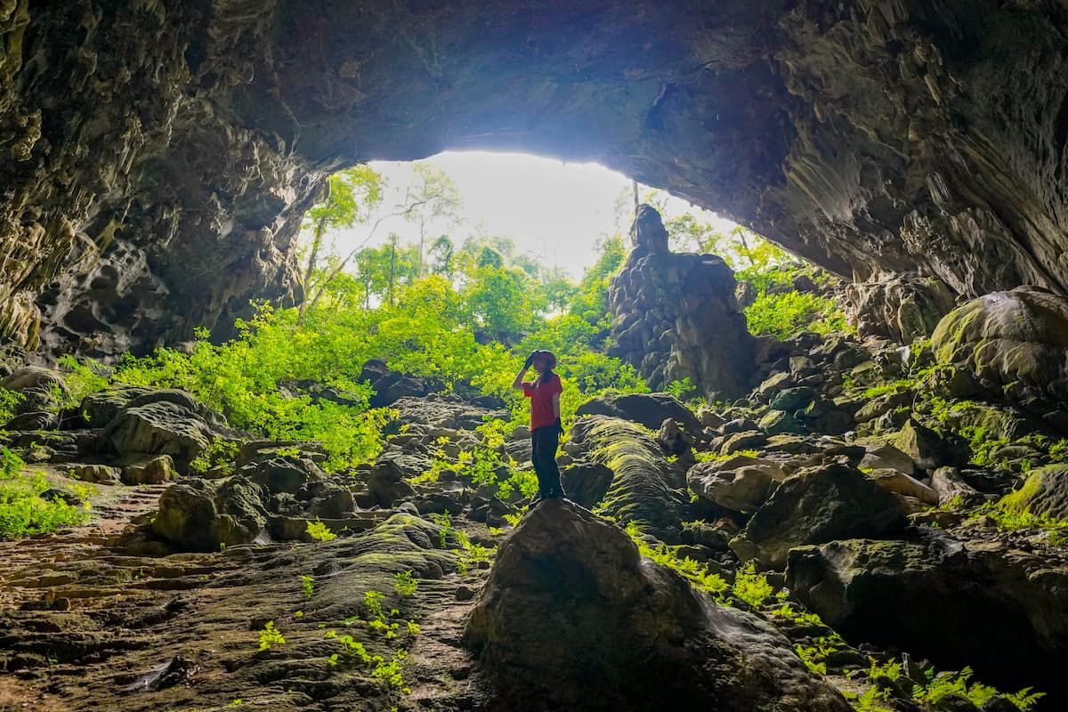 3. a Person Standing at the Entrance of a Large Cave With Greenery Spilling in From Outside