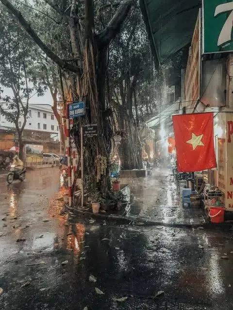Hanoi Street During Rain
