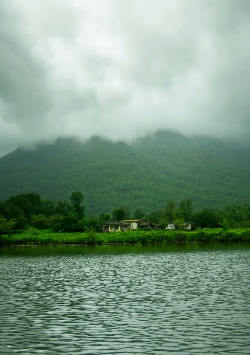 2.dalat Weasel Coffee Farm With a Small Lake in Background