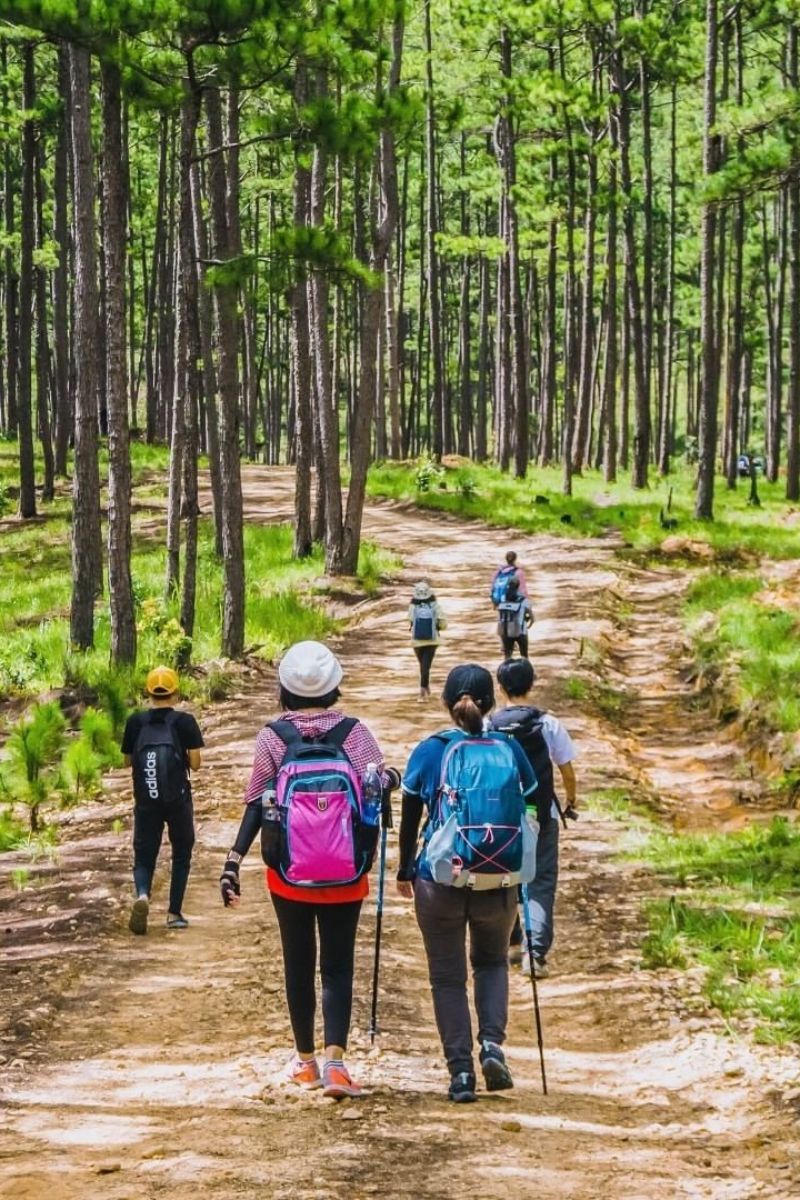 Du khách đi rảo bước trong tour trekking Bidoup
