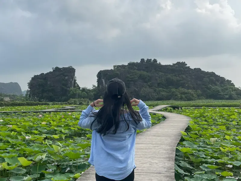 Flower Garden at Mua Cave Entrance