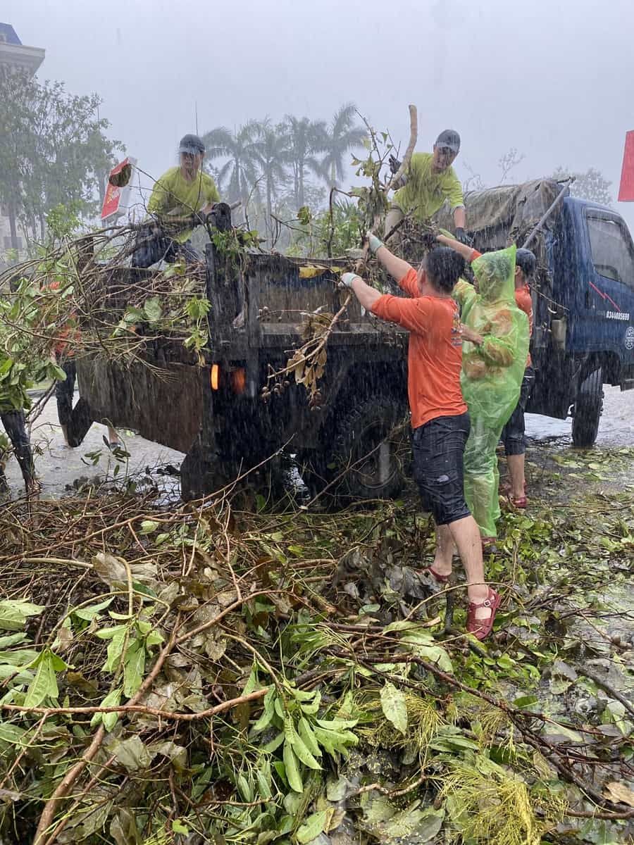 Anh Em Jungle Boss Dọn Dẹp Đường Phố Hải Phòng