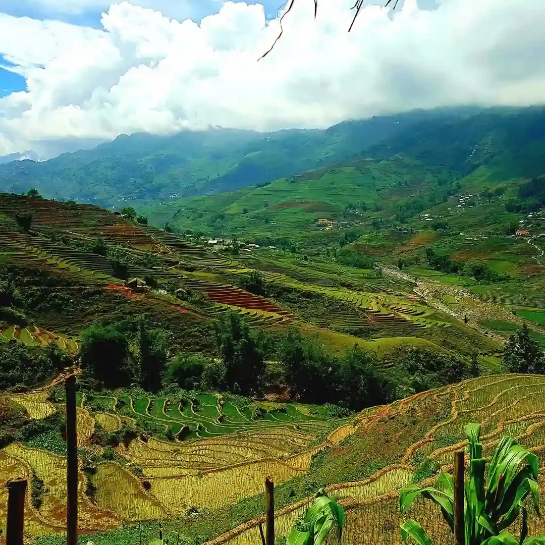 Muong Hoa Valley in Vietnam