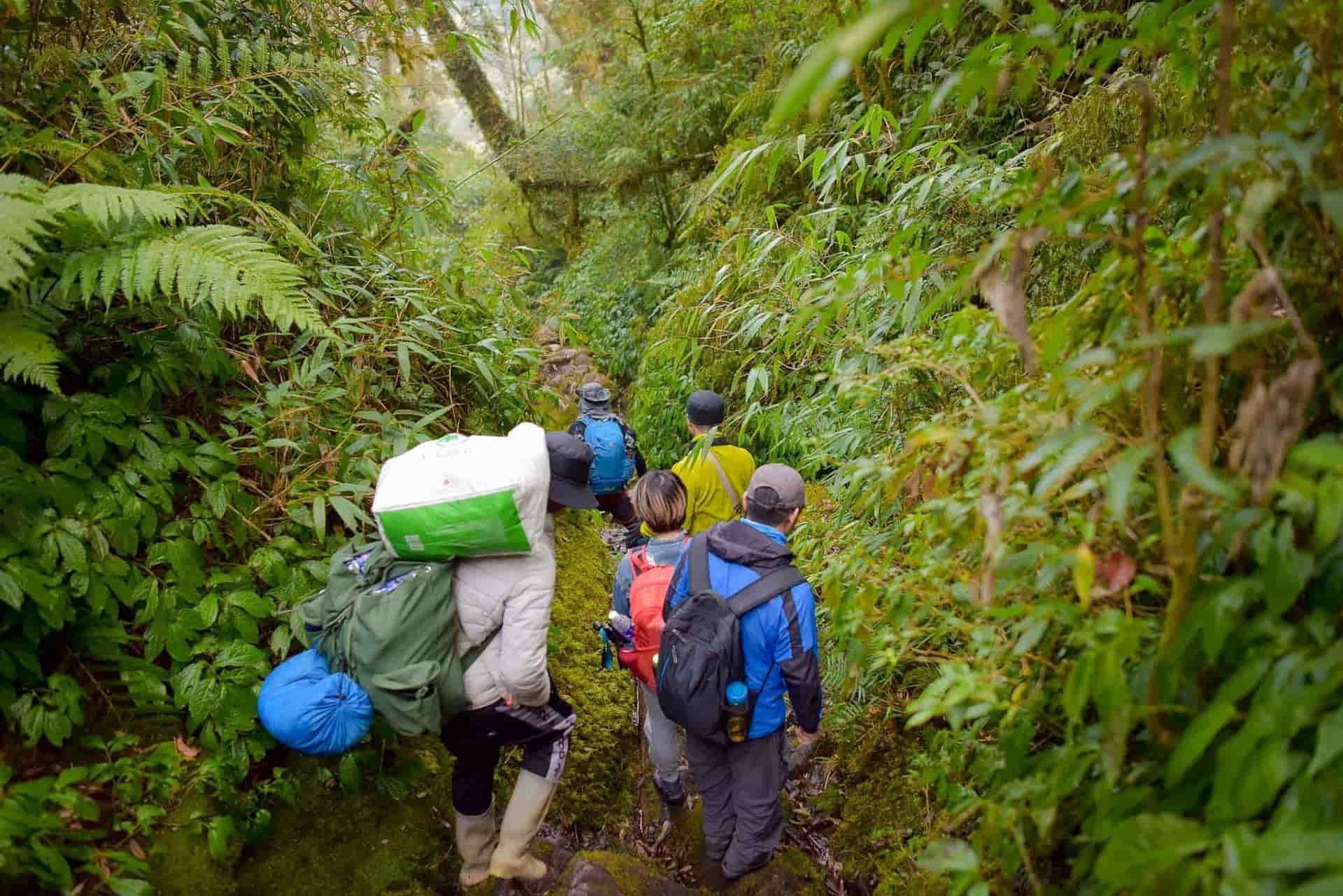 trekking trong rừng để đến nam kang ho tao