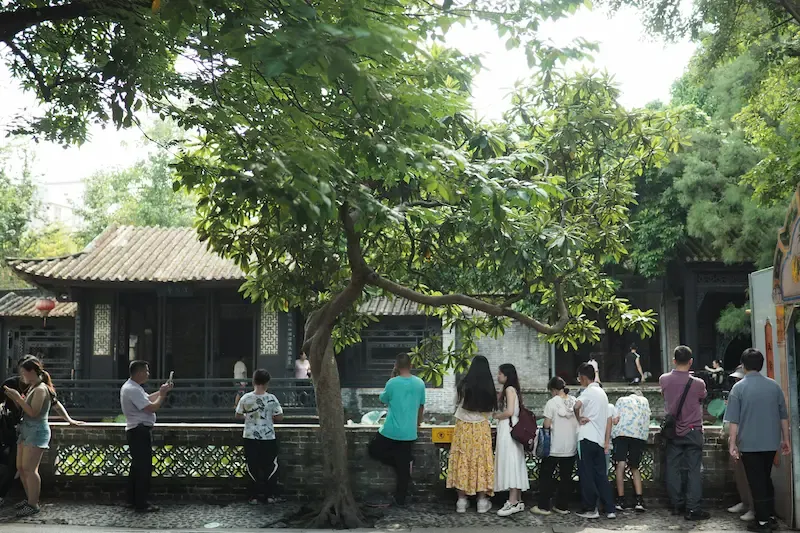 3. Mu Cang Chai Ecolodge Is a Tourist Spot in Itself