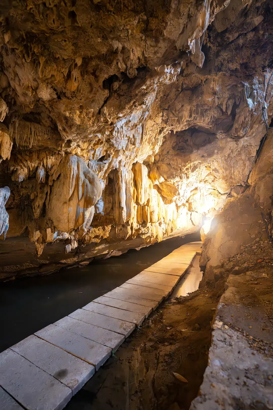Interior view of wet limestone stalactites and a wooden path inside Mermaid Cave in Ninh Binh.