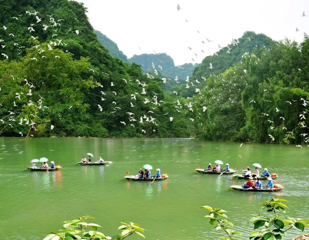 thung nham ninh binh thong tin du lich chi tiet gia ve lich trinh trai nghiem