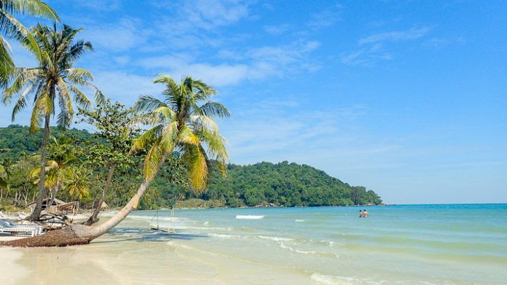 4. a Pristine Beach With Palm Trees and Clear Blue Waters in Southern Vietnam.