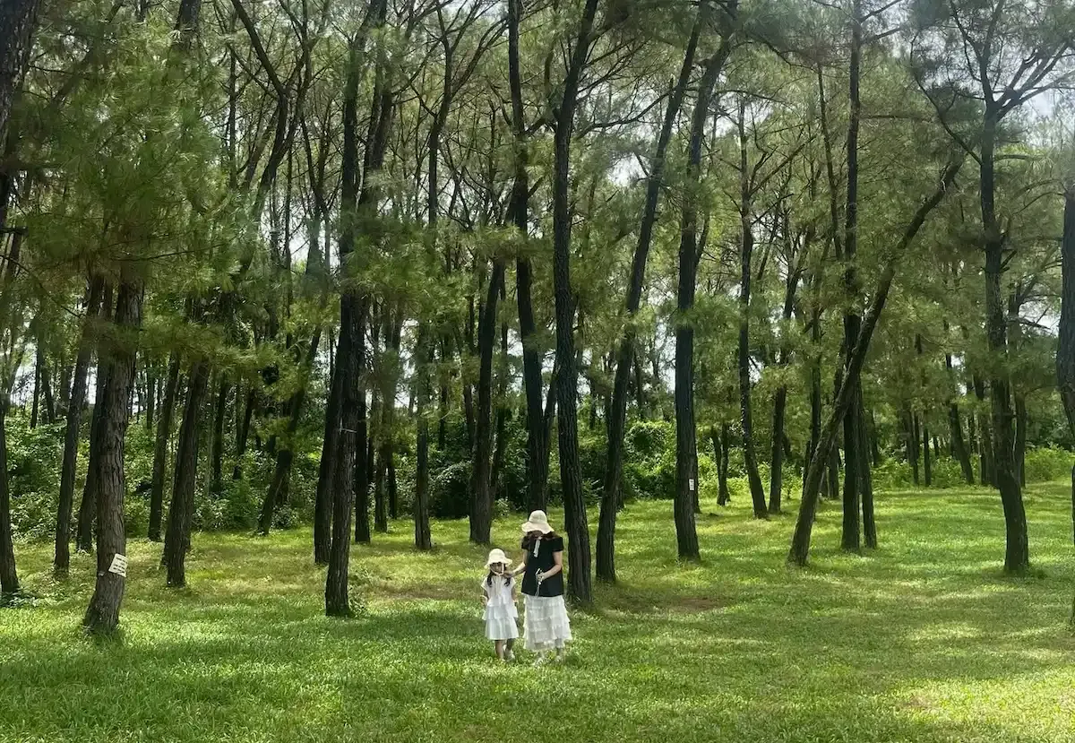 Du khách tham quan đồi Thiên An Huế
