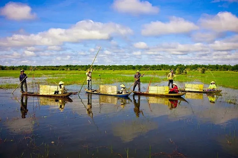 Tram Chim National Park