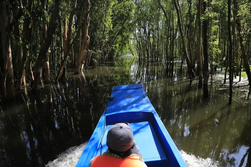 3. Boat Cruises in Tra Su Cajuput Feels Like a Scene out of a Hollywood Movie