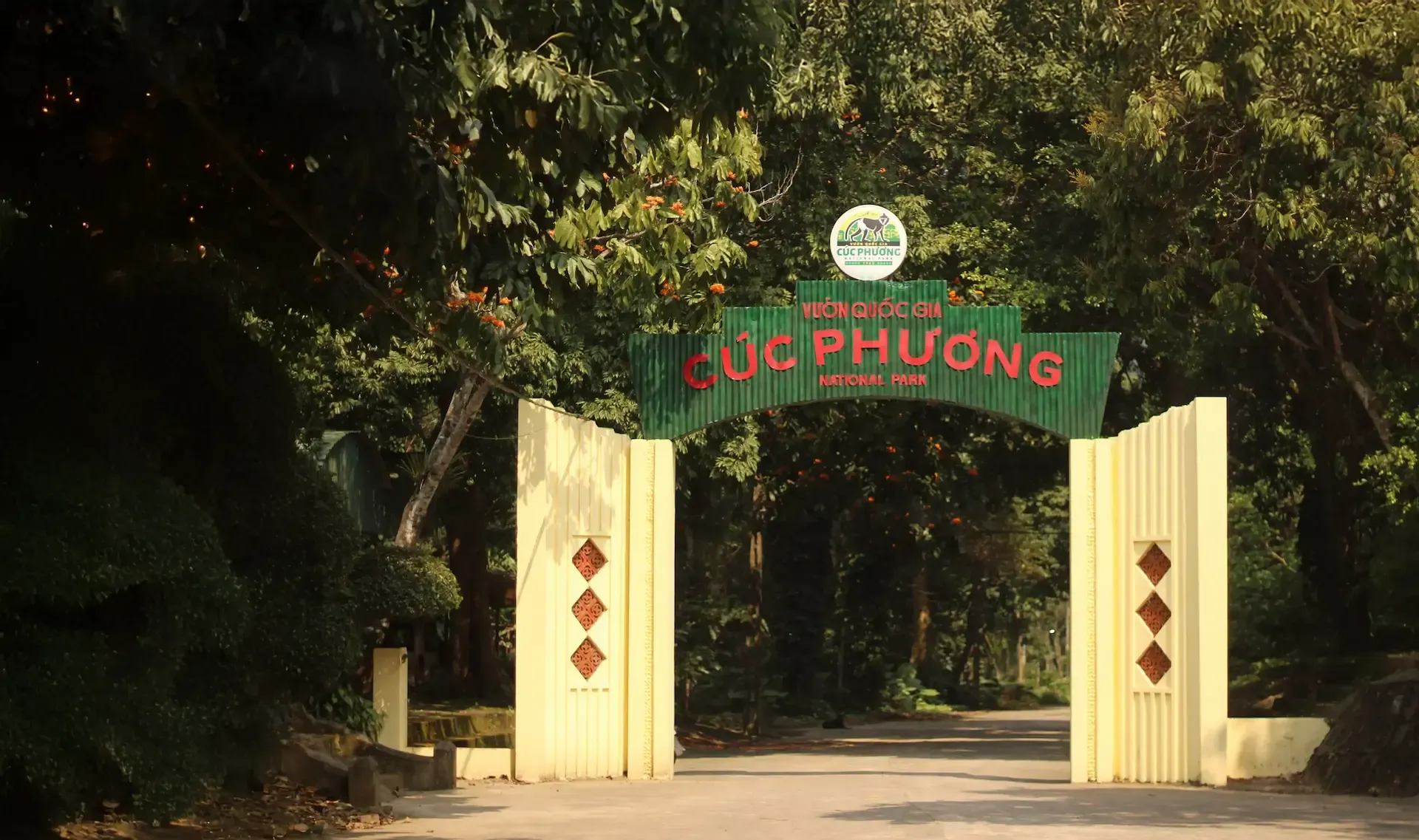 vuon quoc gia cuc phuong kinh nghiem gia ve review 2026