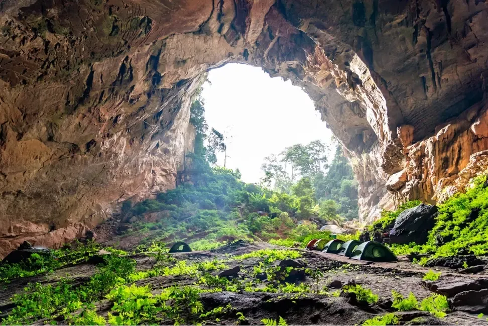 ff53d696 032c 4dfb bffd 0ca10c71375dformatwebp