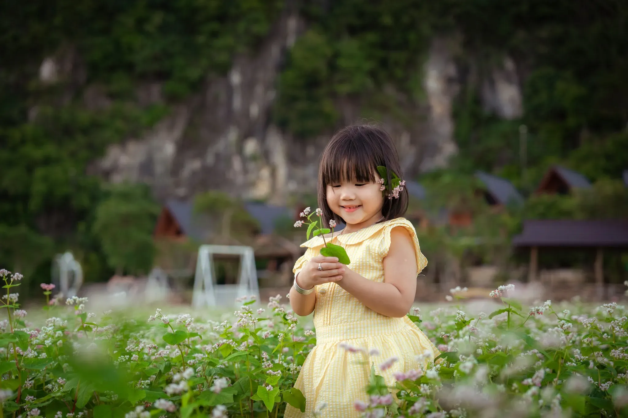 cô bé đứng giữa vườn hoa ở lèn chùa - phong nha kẻ bàng