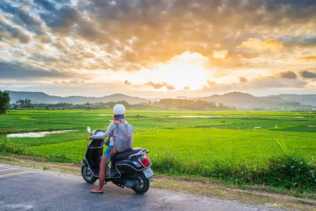 A traveler on a scooter pausing to look at lush green rice paddies during a sunset motorbike trip from Hue to Hoi An.