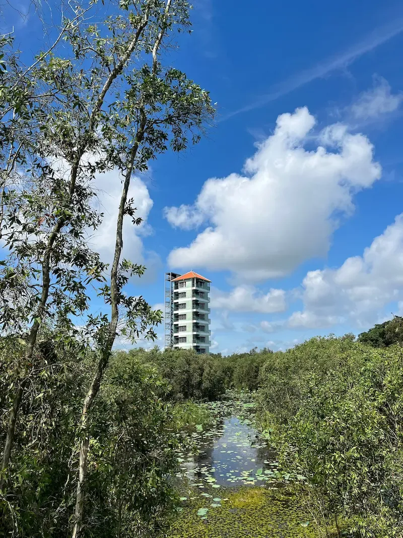 5. Observation Tower of Tra Su Cajuput Forest